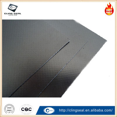 Customizable Reinforced Graphite Gasket Sheet For Renewable Energy And Green Technology